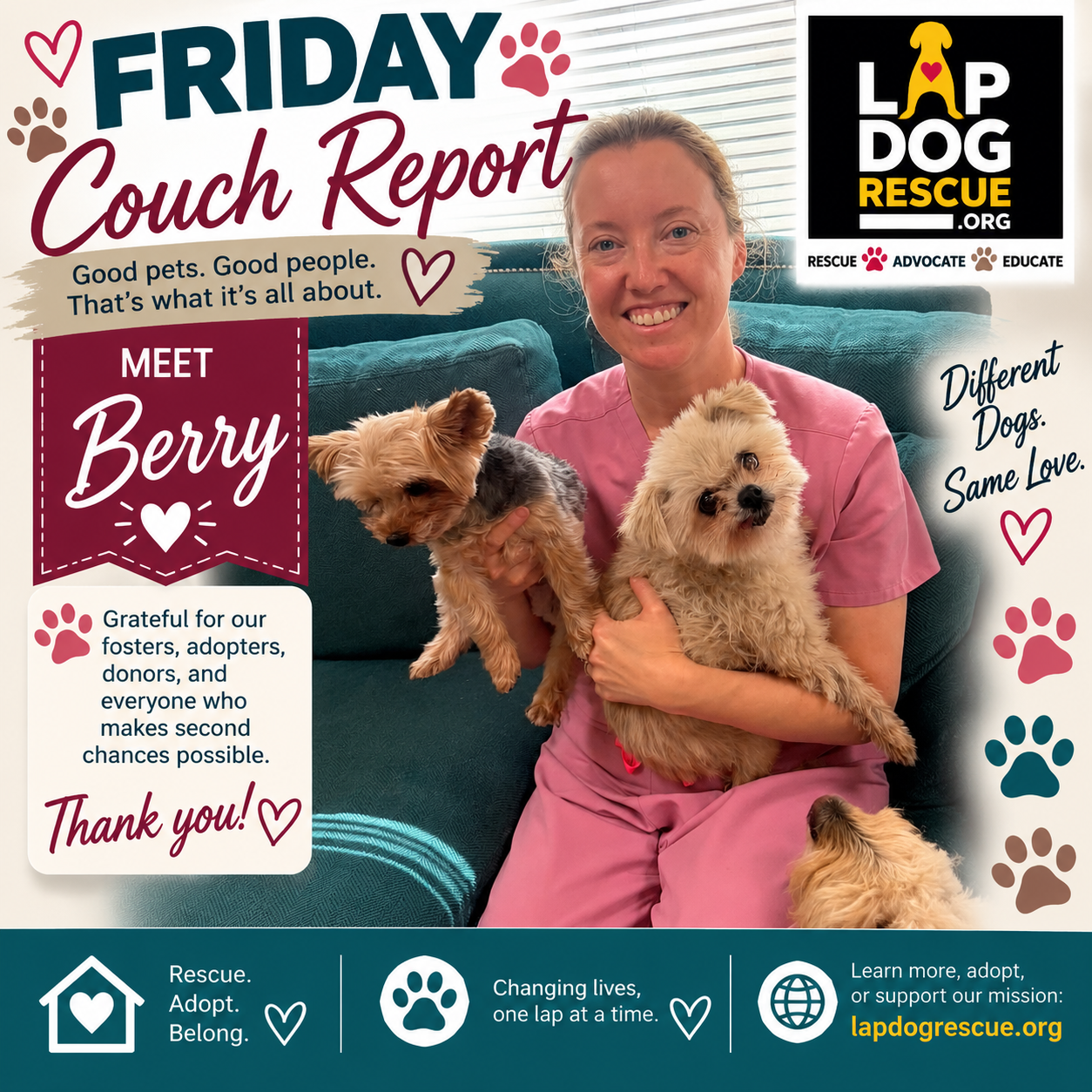 Friday Couch Report celebrating Berry's adoption