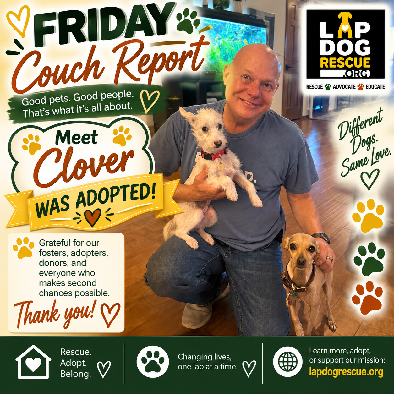 Friday Couch Report celebrating Clover's adoption