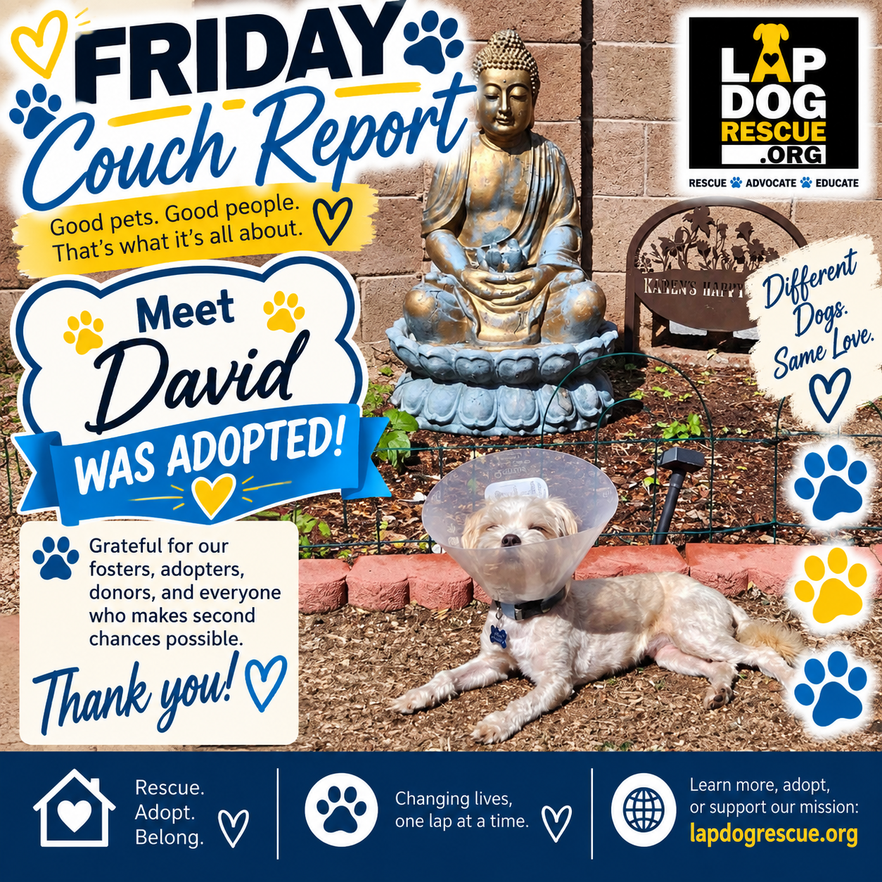 Friday Couch Report celebrating David's adoption