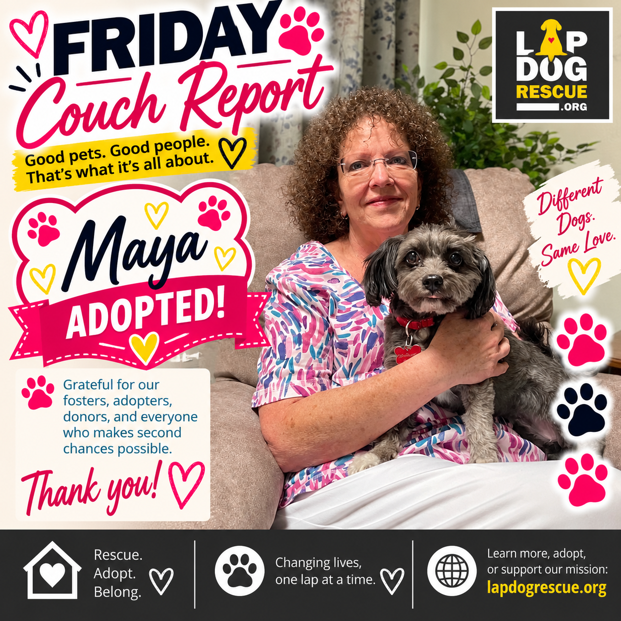 Friday Couch Report celebrating Maya — adopted in October 2026