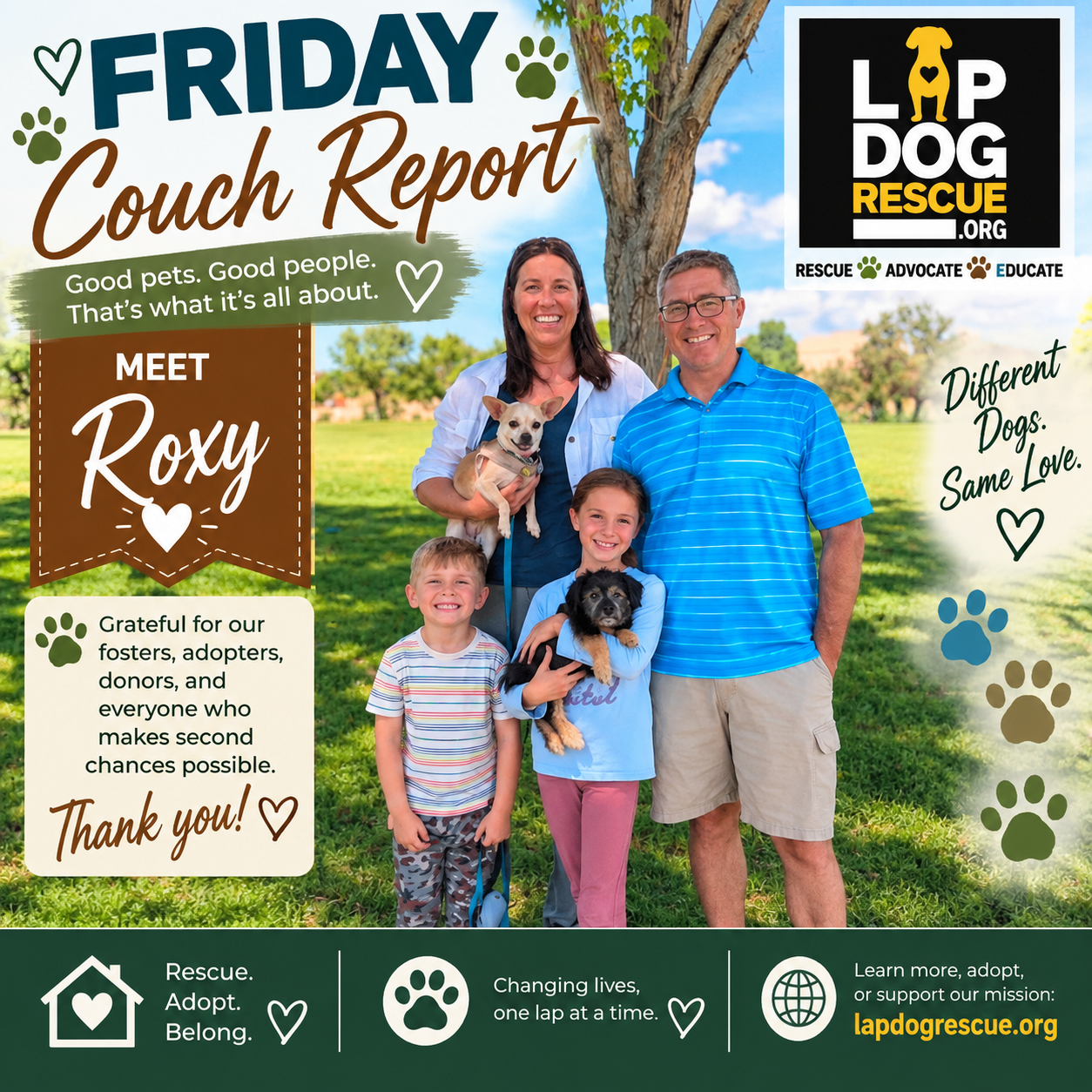 Friday Couch Report celebrating Roxy's adoption