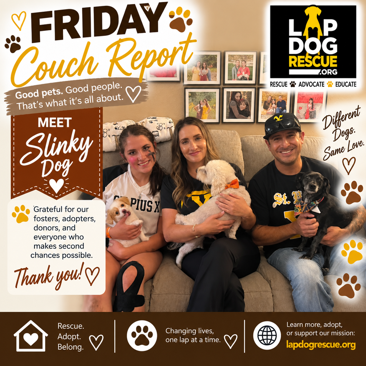 Friday Couch Report celebrating Slinky Dog's adoption